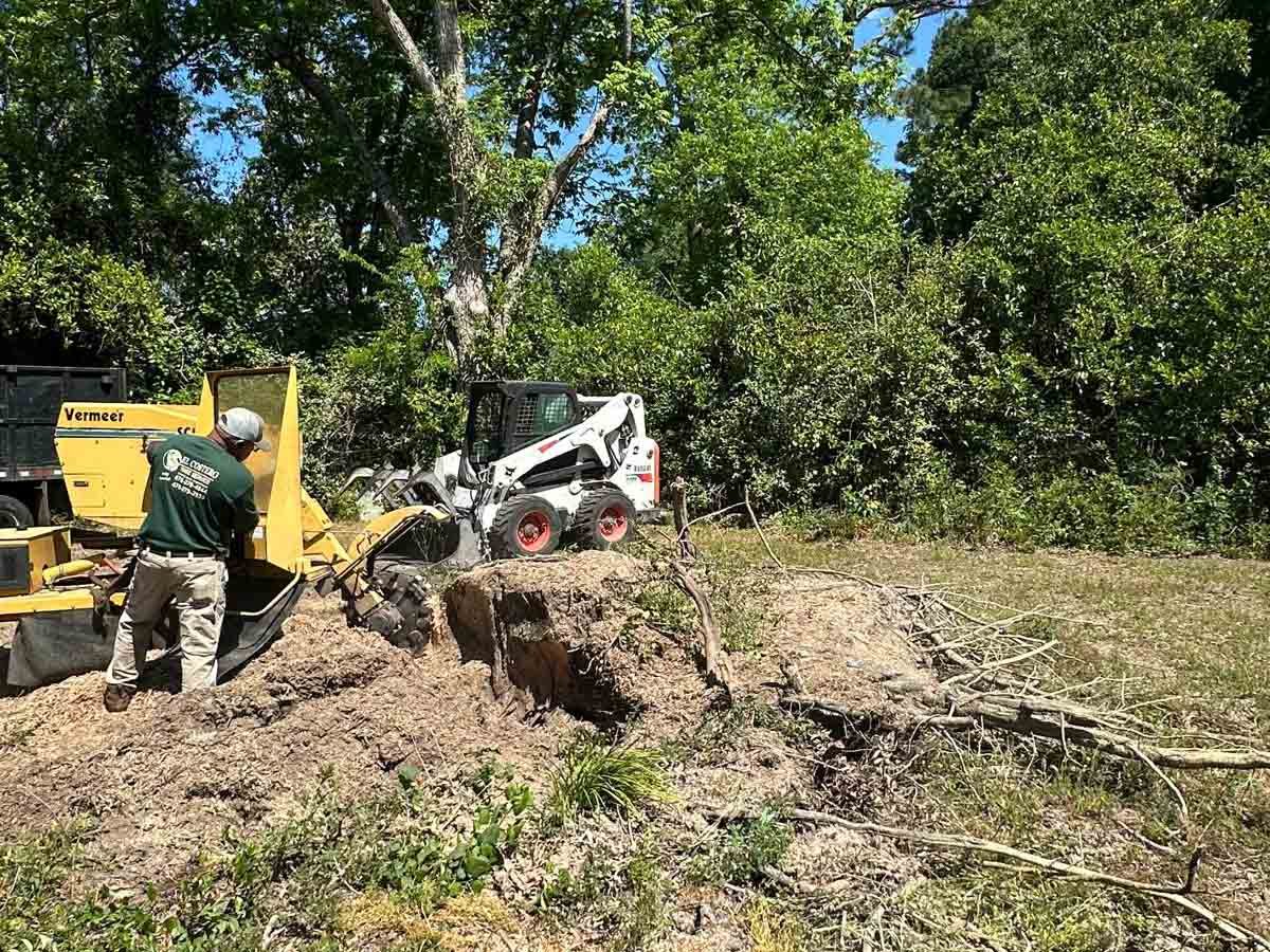 El Costeño Tree Service LLC